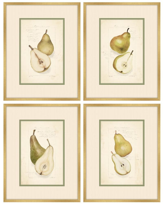 Les Poires, Set of 4