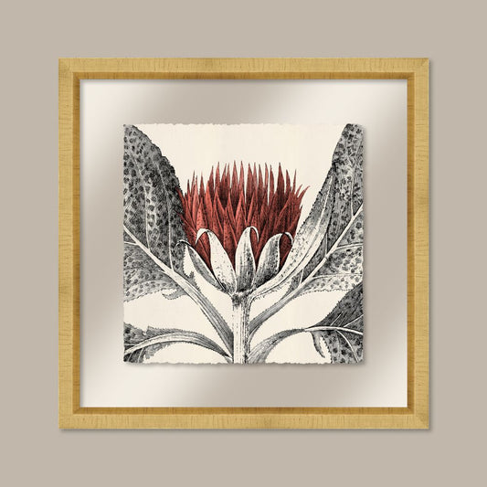 Arctium in Coral and Gold I