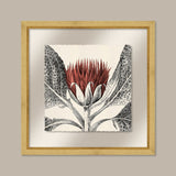 Arctium in Coral and Gold I