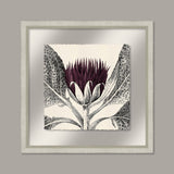 Arctium in Eggplant and Silver I