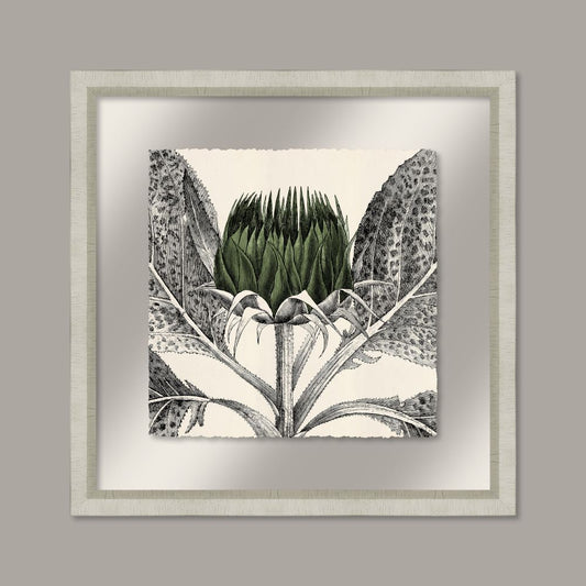 Arctium in Kale and Silver II