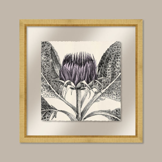Arctium in Pale Lilac and Gold II