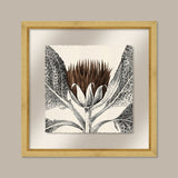 Arctium in Toffee and Gold I