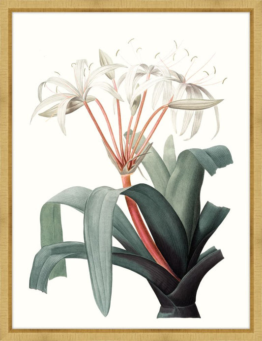 Coral Blooms II Petite