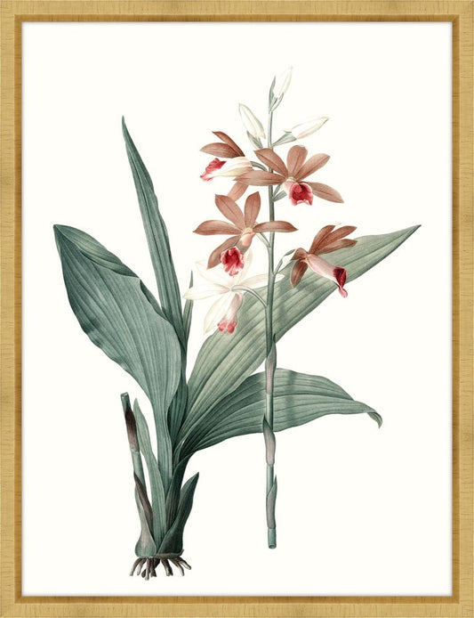 Coral Blooms III Petite