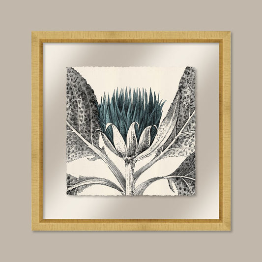 Arctium in Adrift and Gold I