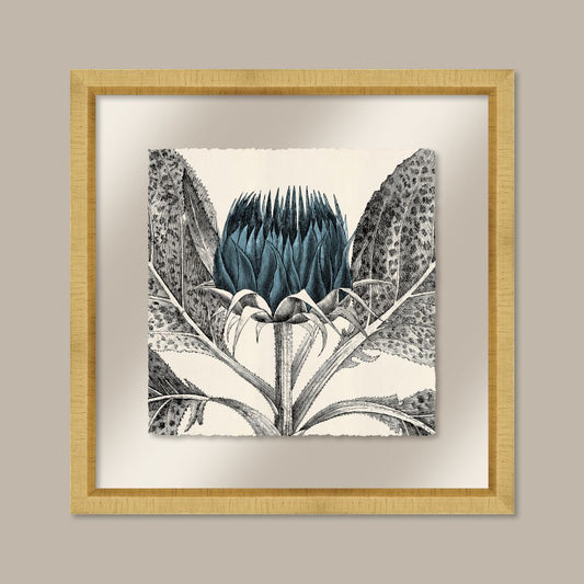 Arctium in Adrift and Gold II