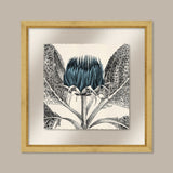 Arctium in Adrift and Gold II