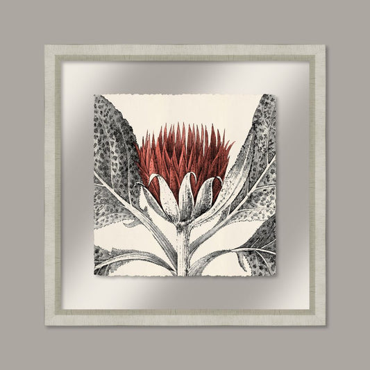 Arctium in Coral and Silver I