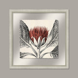 Arctium in Coral and Silver I