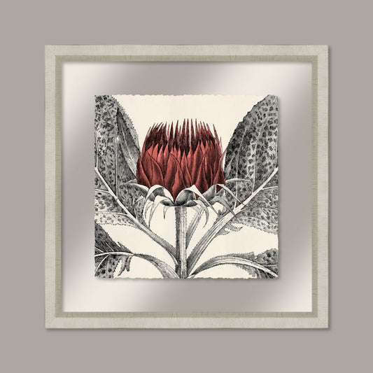 Arctium in Coral and Silver II