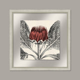 Arctium in Coral and Silver II