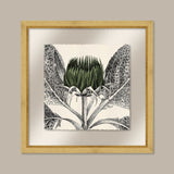 Arctium in Kale and Gold II