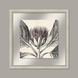 Arctium in Pale Lilac and Silver I