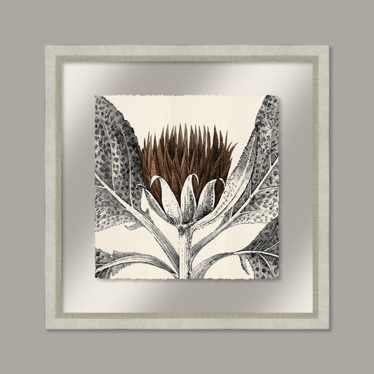 Arctium in Toffee and Silver I