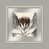 Arctium in Toffee and Silver I