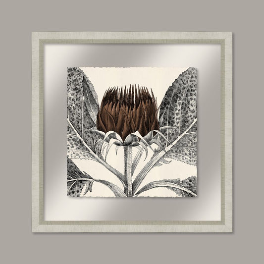Arctium in Toffee and Silver II