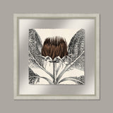 Arctium in Toffee and Silver II