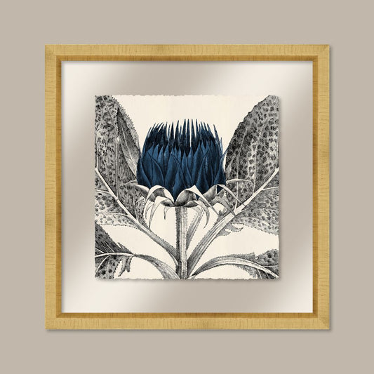 Arctium in Navy and Gold II