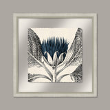 Arctium in Navy and Silver I