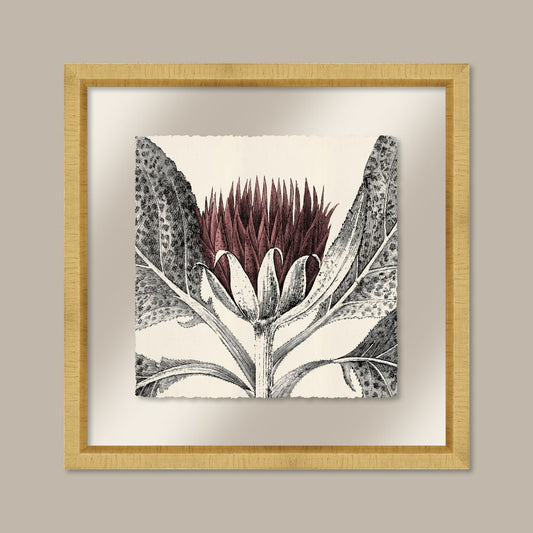 Arctium in Rose and Gold I