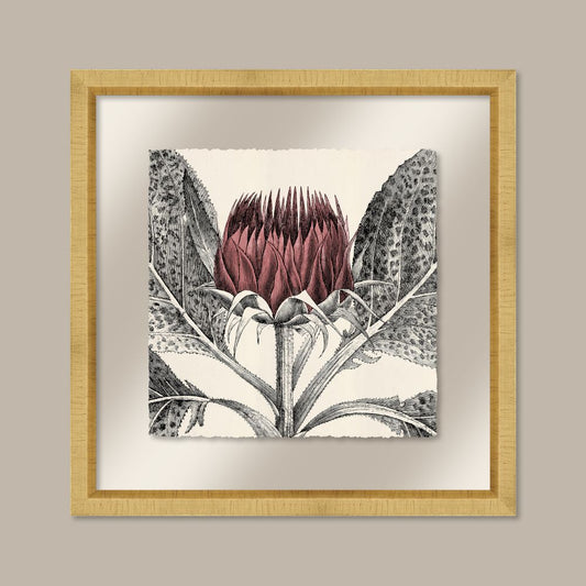 Arctium in Rose and Gold II