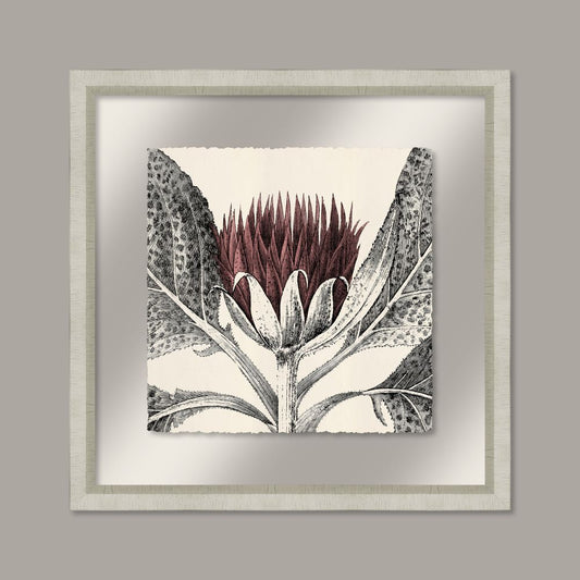 Arctium in Rose and Silver I