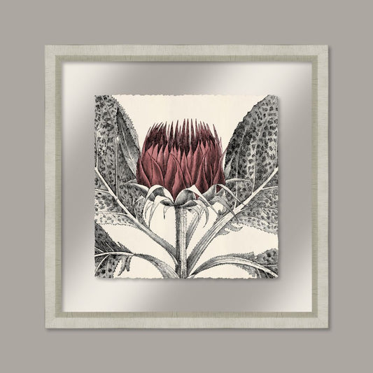 Arctium in Rose and Silver II