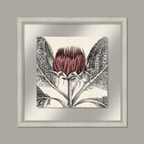Arctium in Rose and Silver II