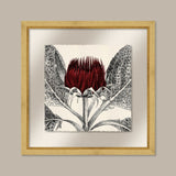 Arctium in Caliente and Gold II