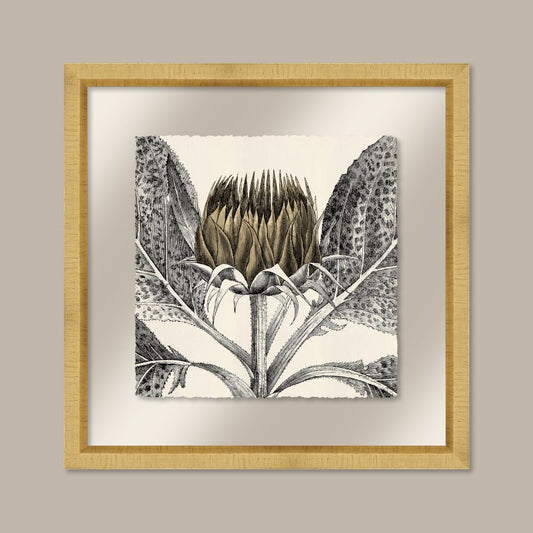 Arctium in Spun Gold and Gold II