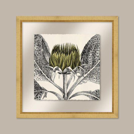 Arctium in Golden Lime and Gold II