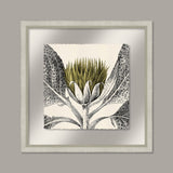 Arctium in Golden Lime and Silver I