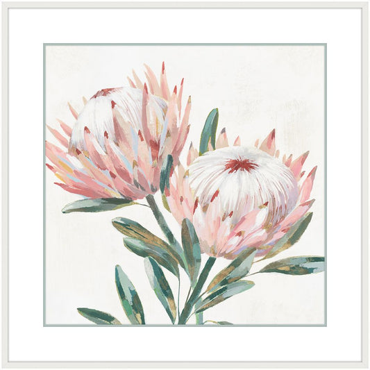 King Protea I