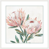 King Protea I