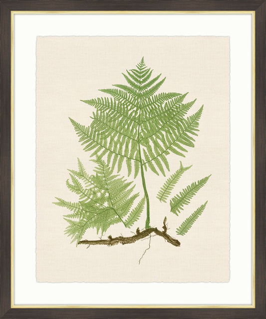 Ferns on Cream Linen II