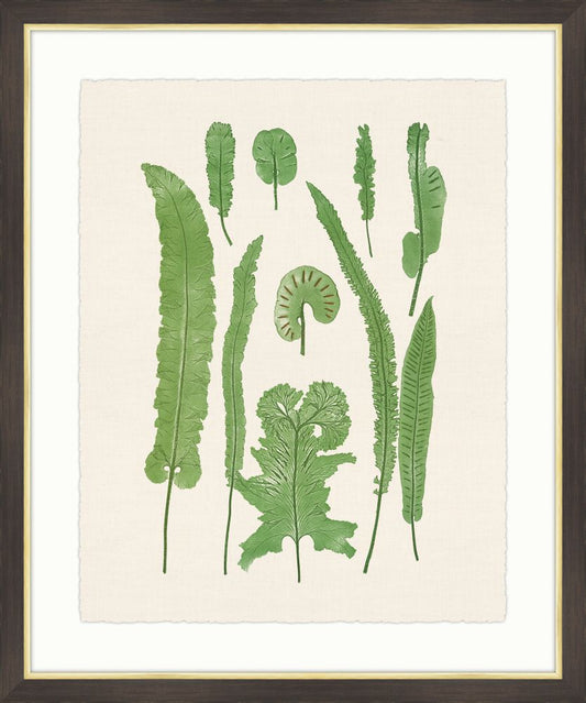 Ferns on Cream Linen IV