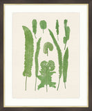 Ferns on Cream Linen IV