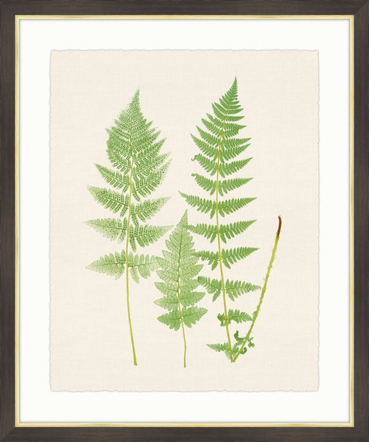 Ferns on Cream Linen V