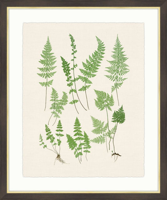 Ferns on Cream Linen VI