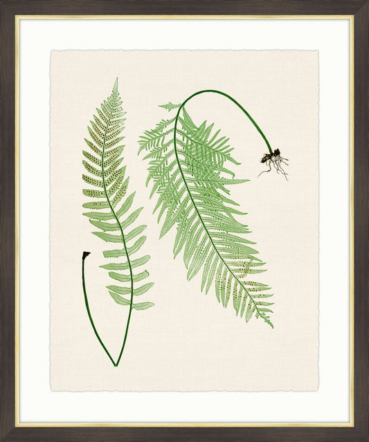 Ferns on Cream Linen VII