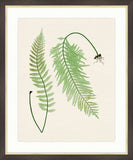 Ferns on Cream Linen VII