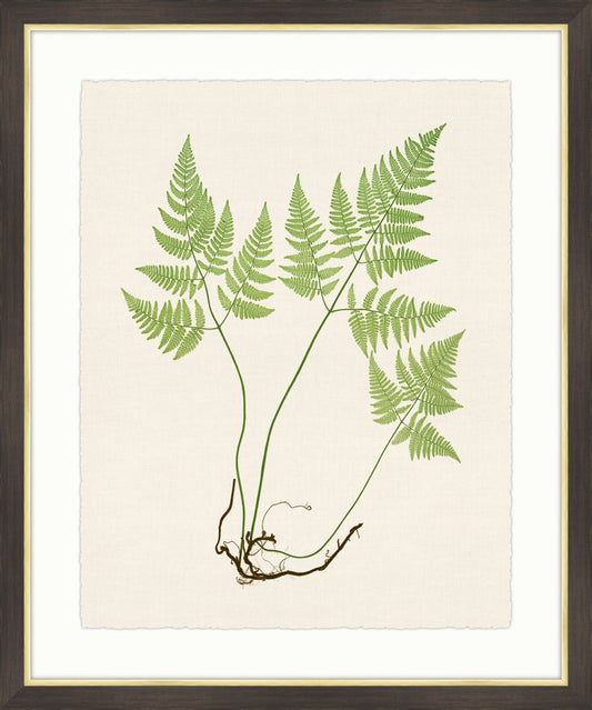 Ferns on Cream Linen VIII