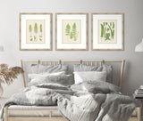 Natural Ferns on Cream Linen III