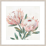 King Protea I Petite