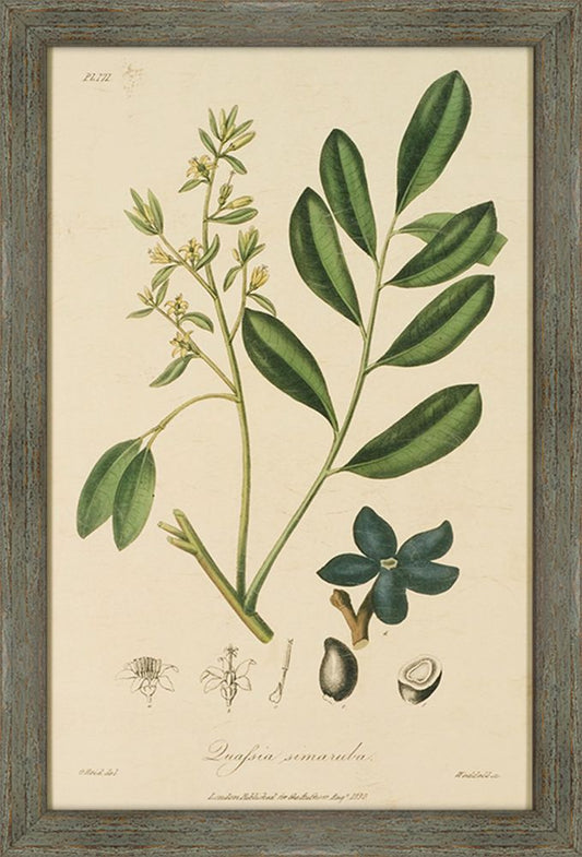 Woodland Foliage I