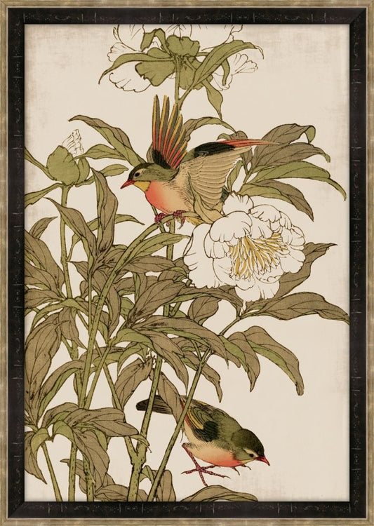 Peking Robin and Peonies Petite