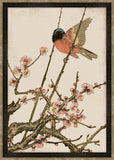 Songbird and Cherry Blossoms Petite