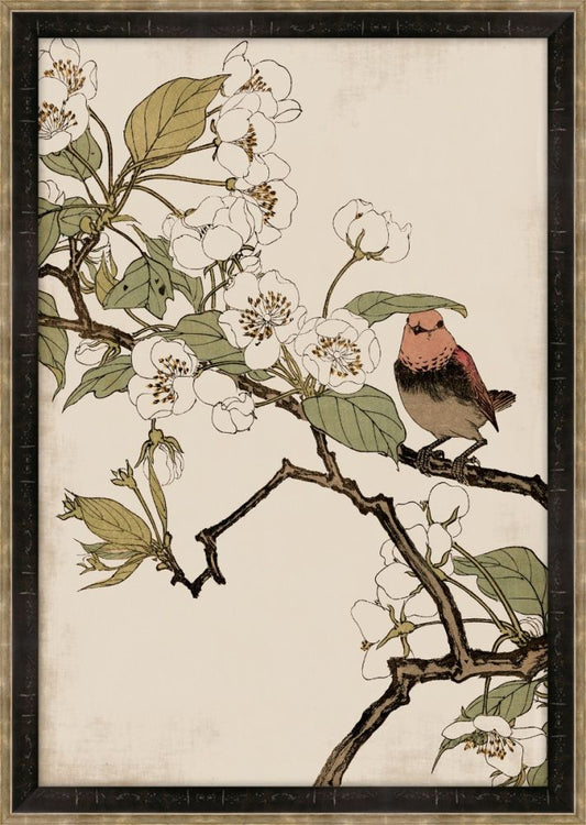 Red Robin and Peach Blossoms Petite