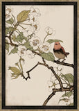 Red Robin and Peach Blossoms Petite